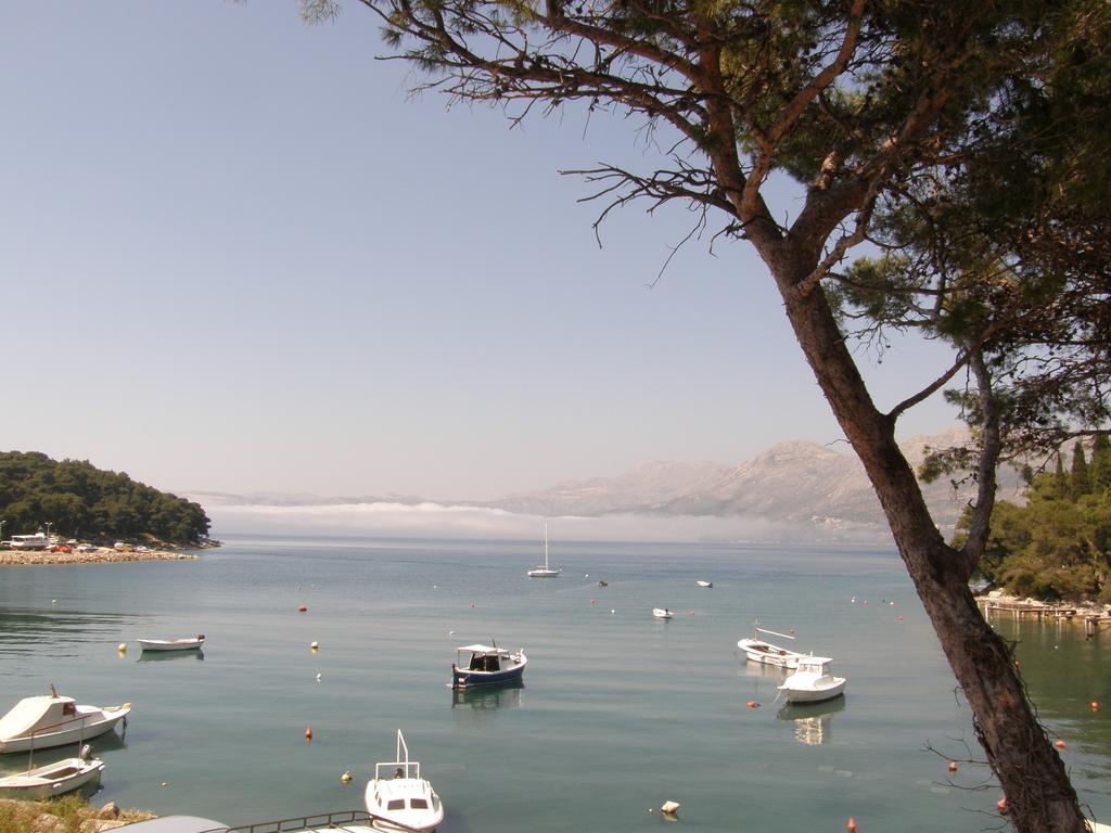Vanda Seafront Fantastic Cavtat Eksteriør bilde